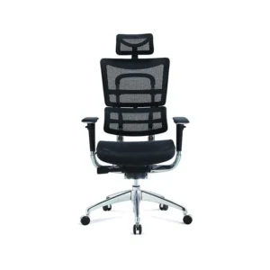 Ergo Human Chair Manager chair Full Mesh
