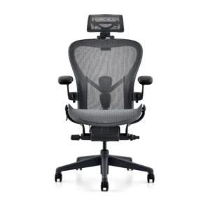 Ergo human Chair