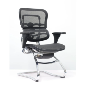 Ergohuman Visitor Chair All Mesh