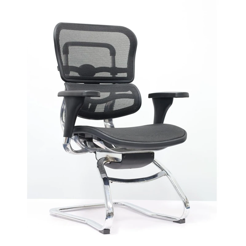 Ergohuman Visitor Chair All Mesh