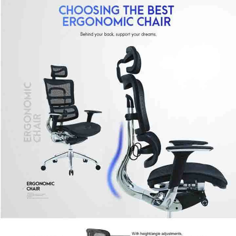 Ergo Human Chair Manager chair Full Mesh