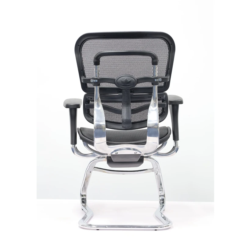 Ergohuman Visitor Chair All Mesh