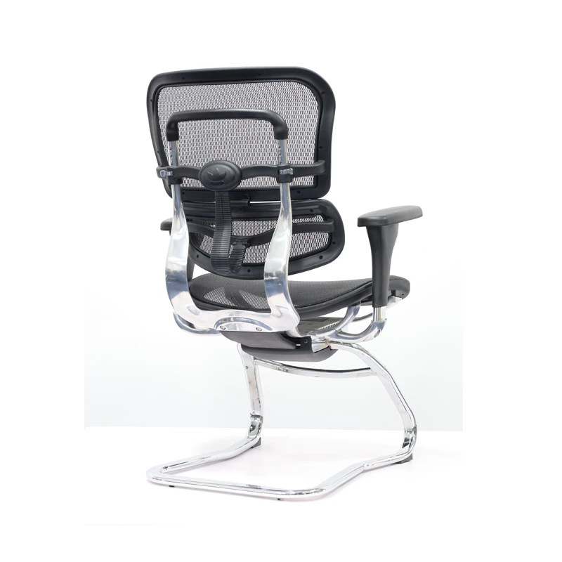 Ergohuman Visitor Chair All Mesh