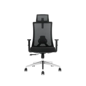 Ergonomic Chair High Back Mesh