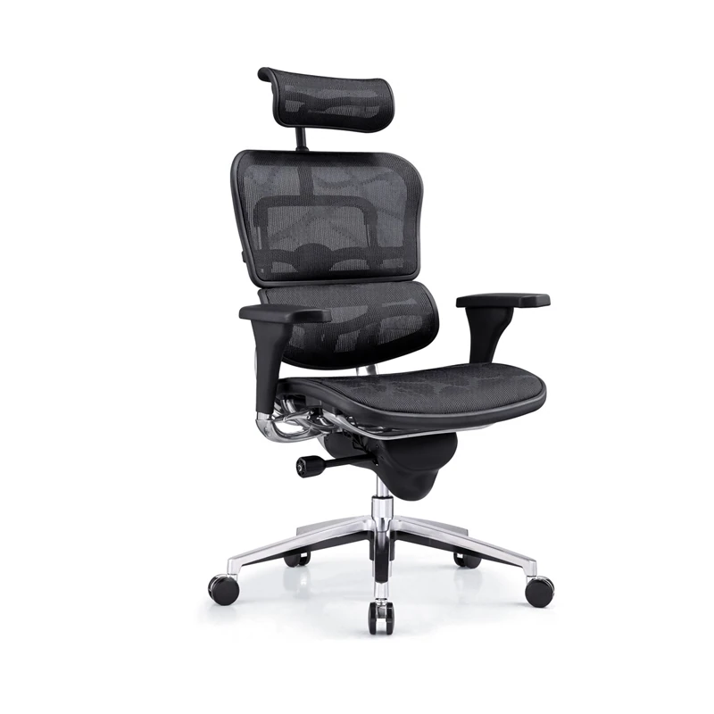 Ergohuman Chair All Mesh