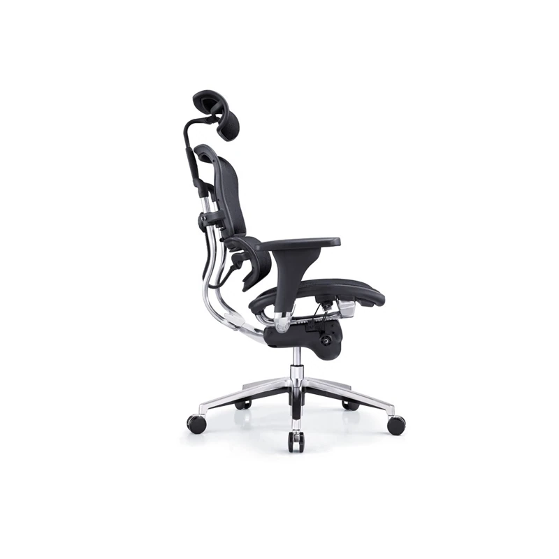 Ergohuman Chair All Mesh