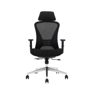 German Ergohuman Smart Chair, HIgh Back mesh chair