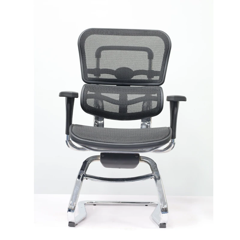 Ergohuman Visitor Chair All Mesh