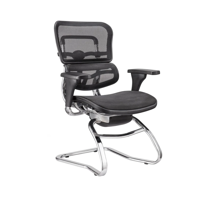 Ergohuman Visitor Chair All Mesh
