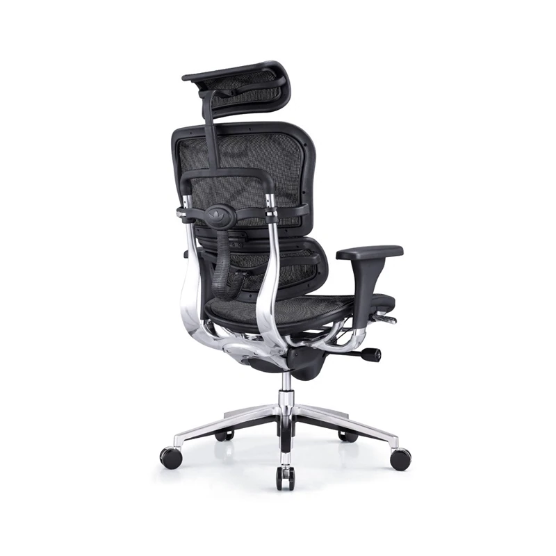 Ergohuman Chair All Mesh
