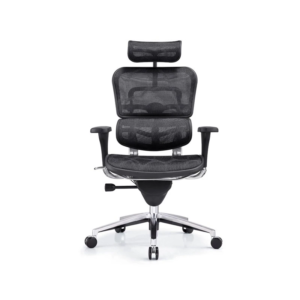 Ergohuman Chair All Mesh