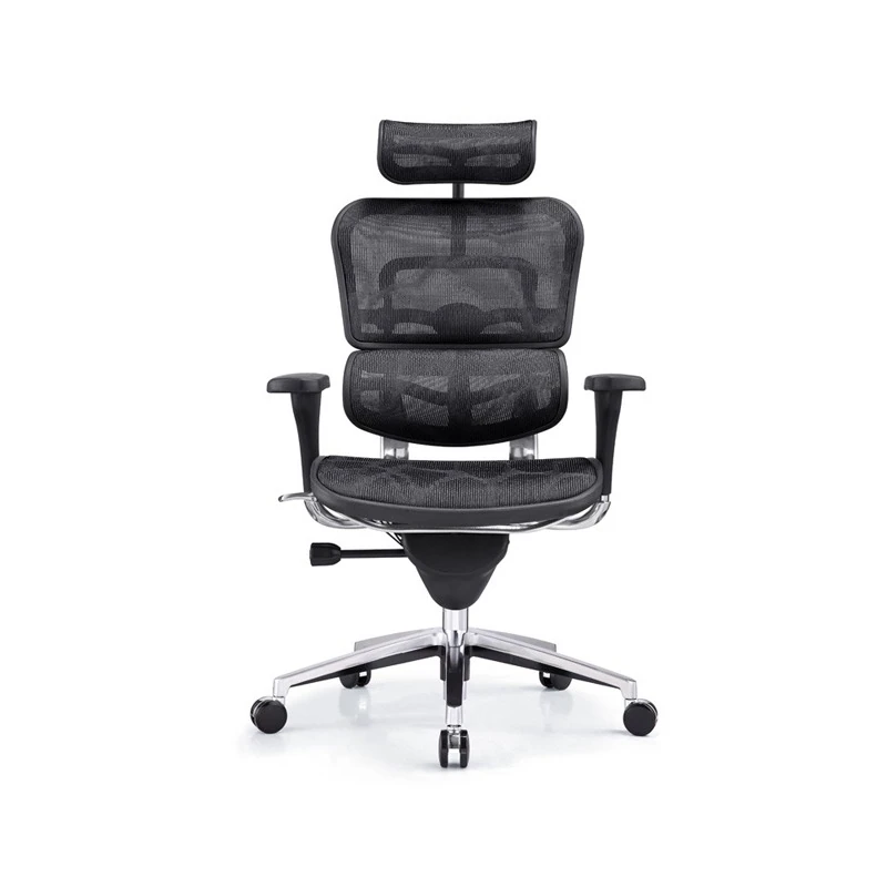 Ergohuman Chair All Mesh