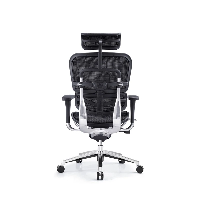 Ergohuman Chair All Mesh