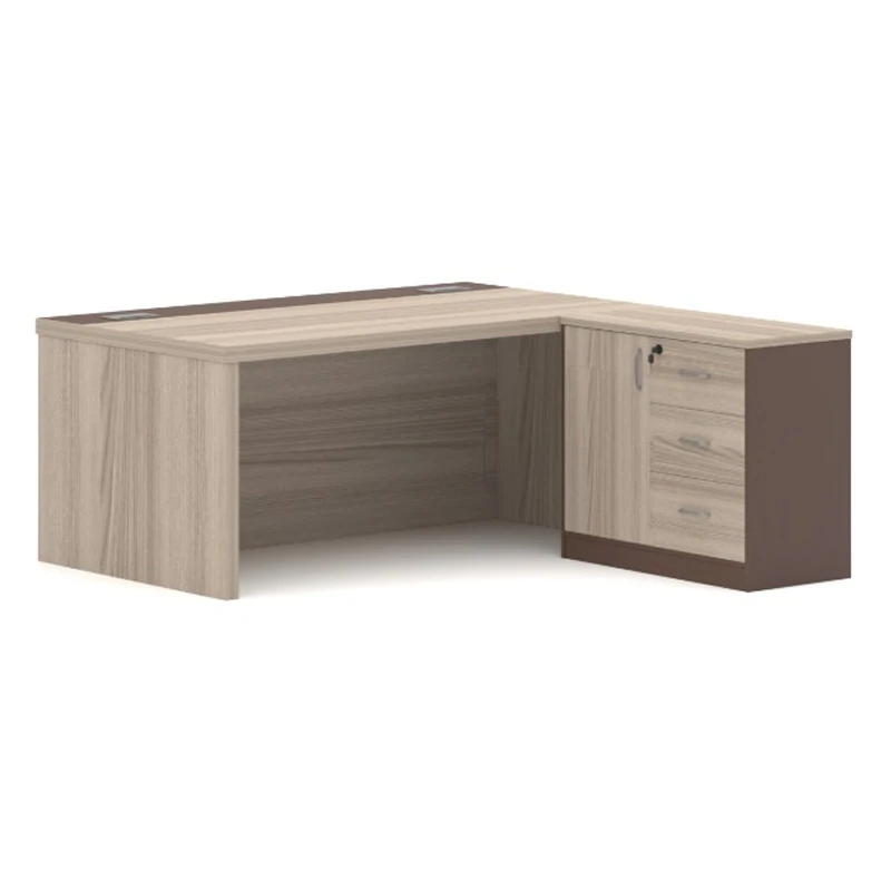 Executive Staff manager desk